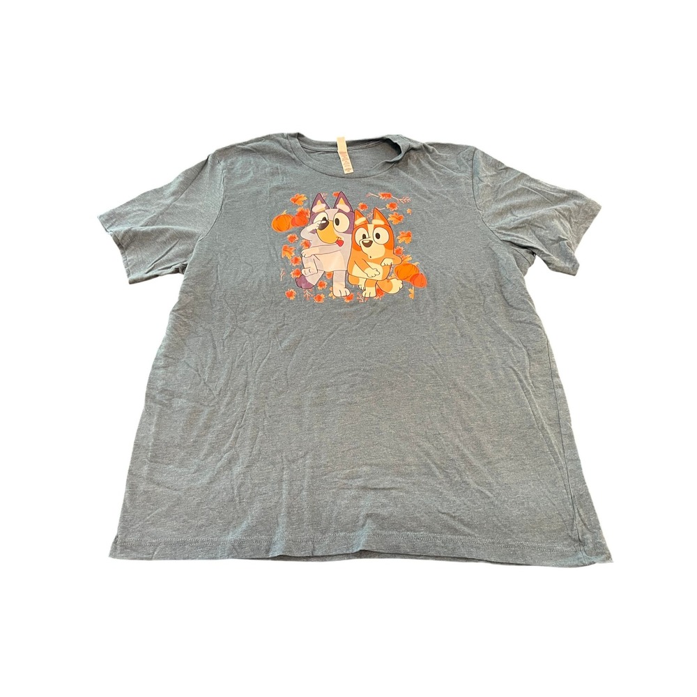 Bluey Bingo Fall Graphic Tee Shirt Teal Blue Kids 2XL Bella Canvas 3670